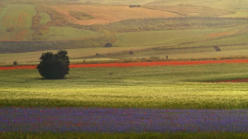 Izgubljene iluzije - jutro II by Barbara Kaiser