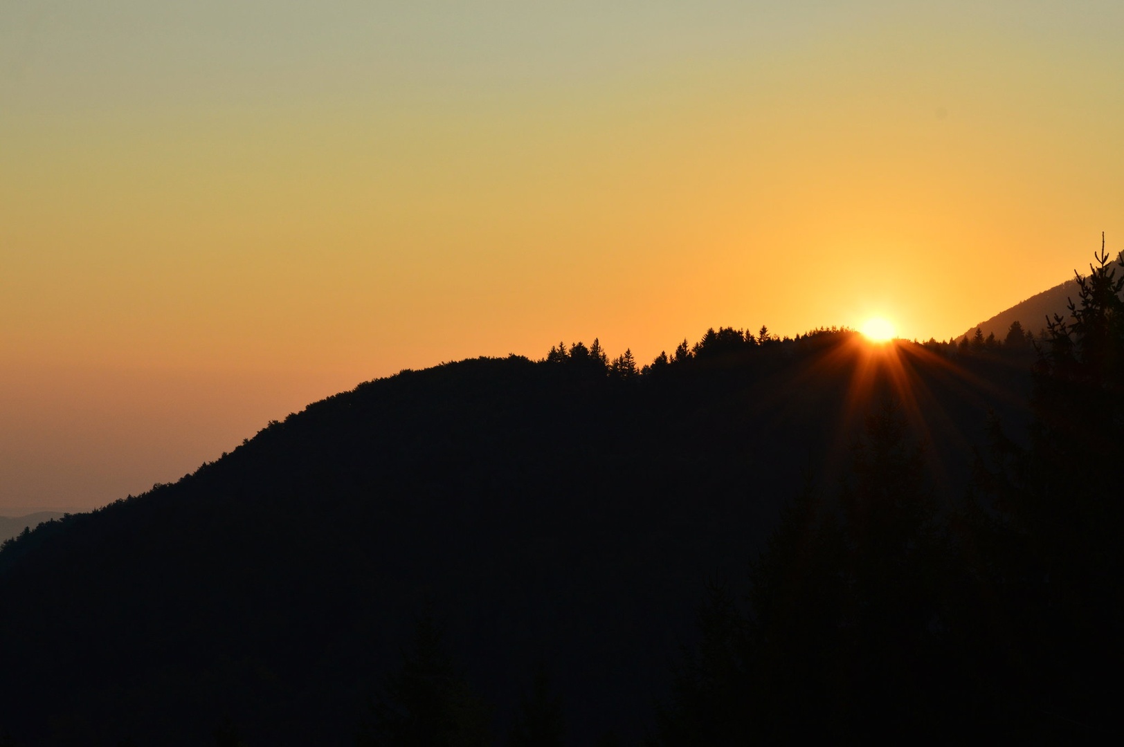 Jutro by Nastja