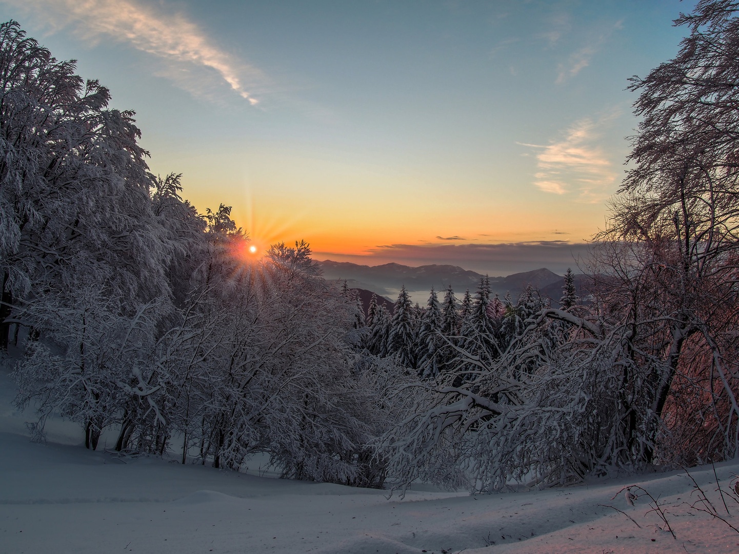 Poglej ga novo jutro by Iztok Škrbec