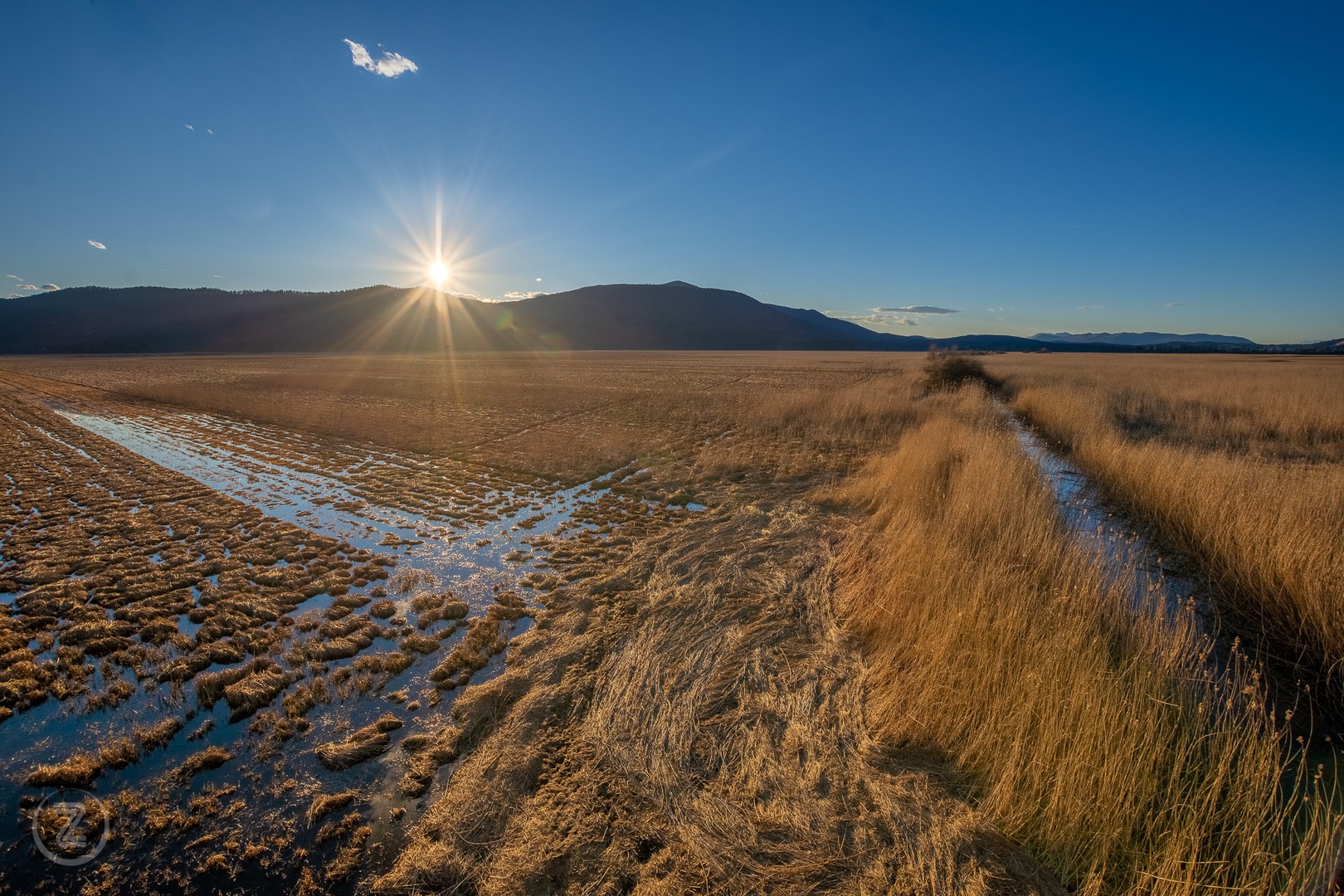 Cerkniško jezero postaja polje by Zoran Vidrih