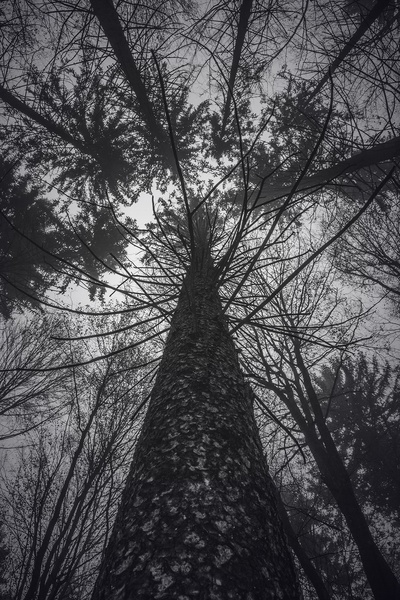 Look up. by lostinframes