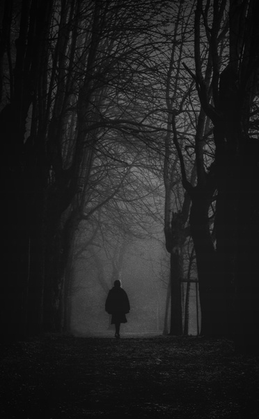 Silhouette. by lostinframes