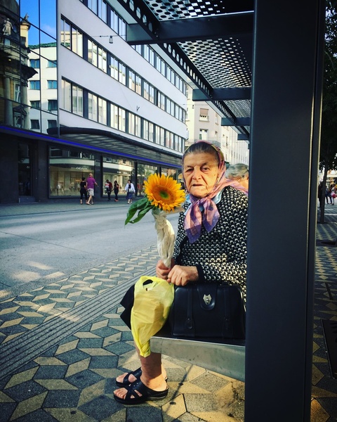 Sunflower. by lostinframes