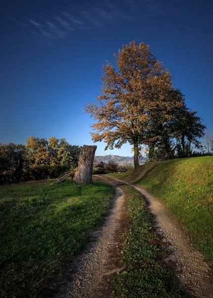 Dolenjska pokrajina by lostinframes