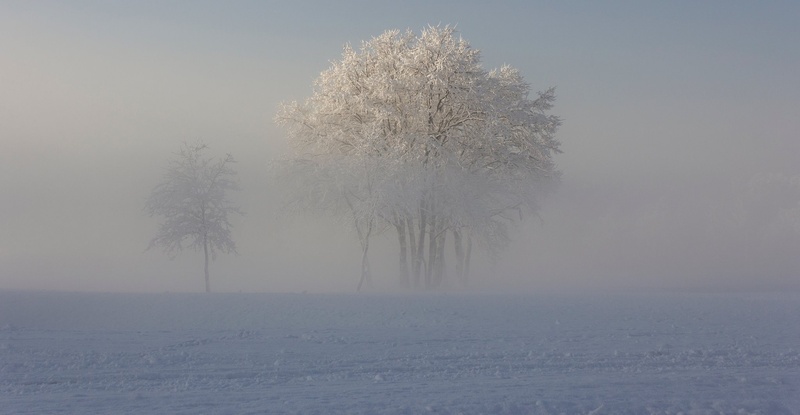 Meglice by Jakomelius Četrti