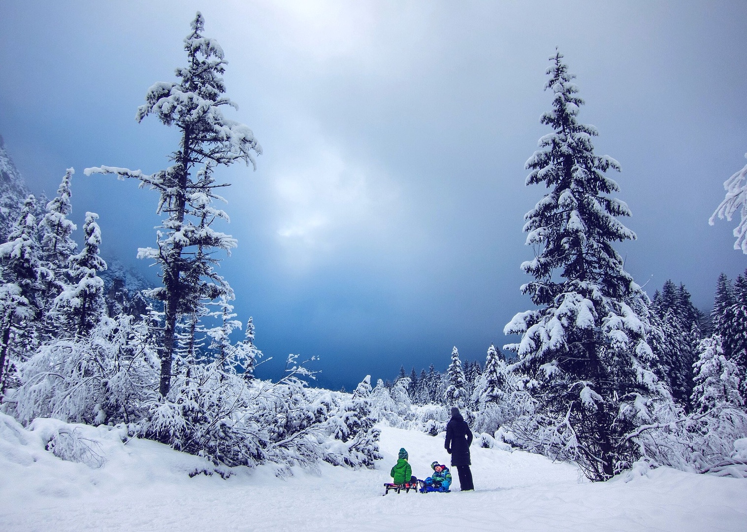 winter storm by