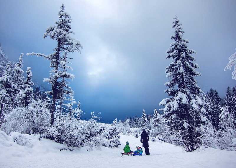 winter storm by dudo123