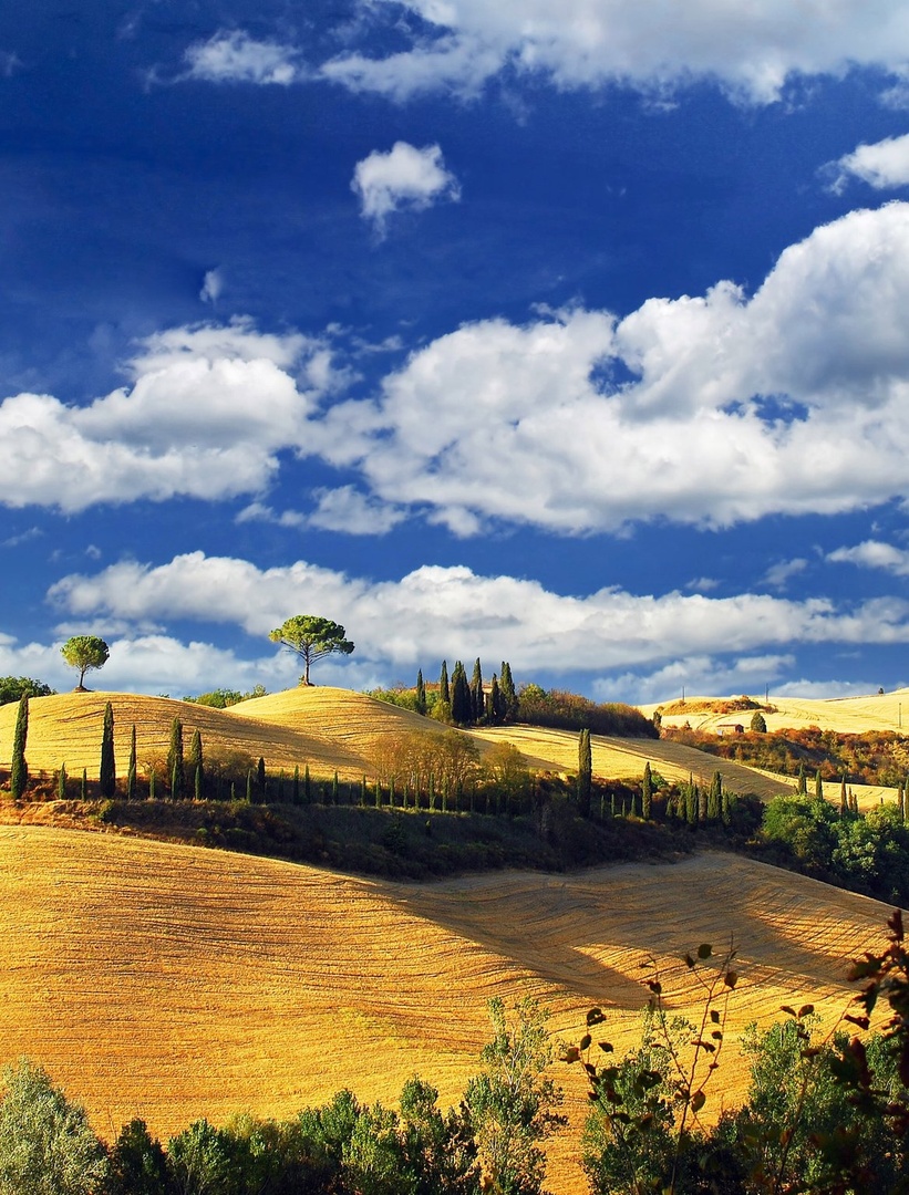 Under the Tuscan sun by