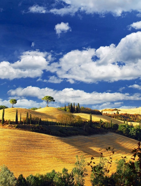 Under the Tuscan sun by dudo123