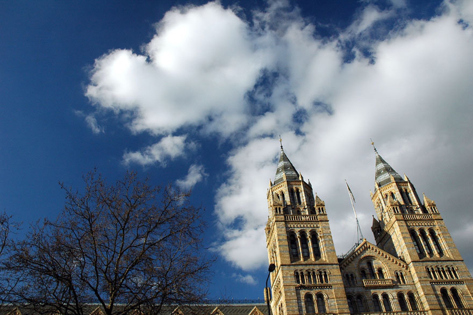 chatedral by