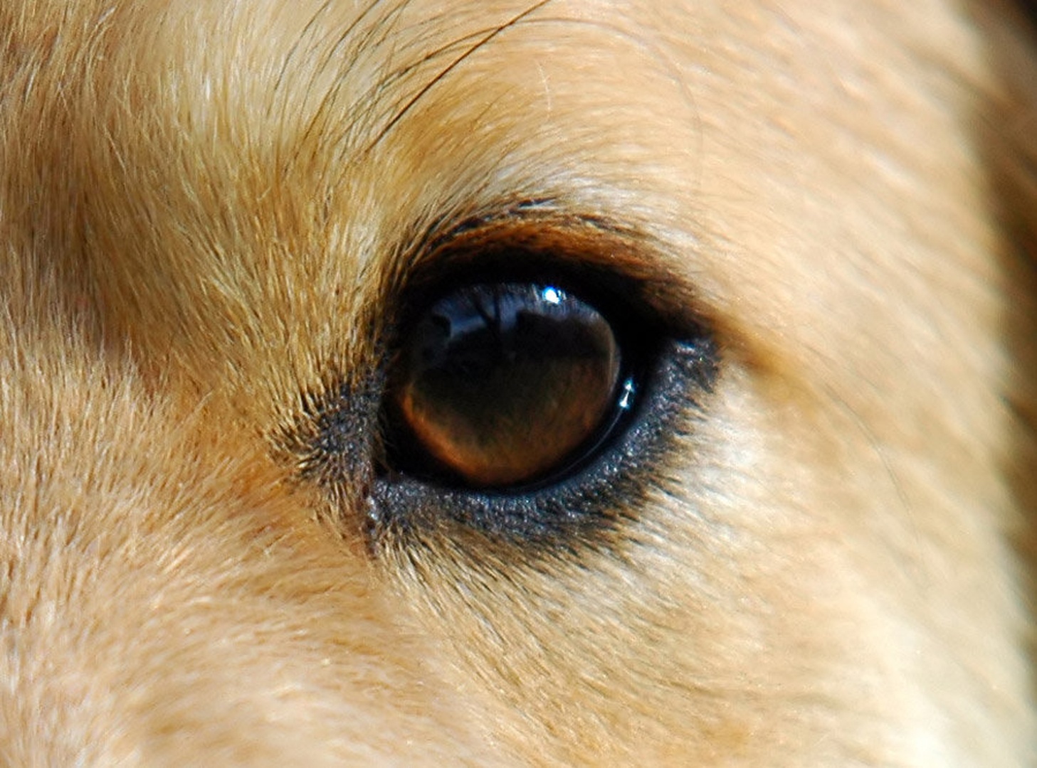 the world in my eyes by