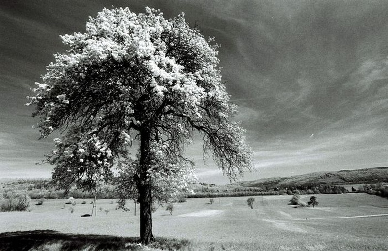 IR by markok