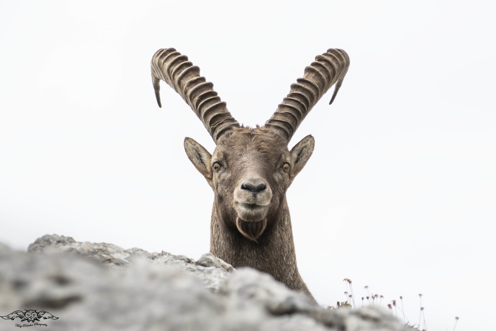 The look by Matej Podrekar