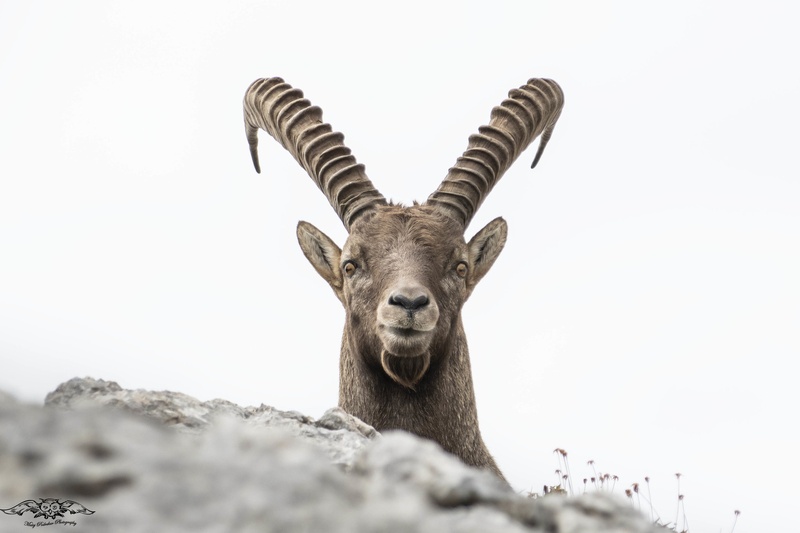 The look by Matej Podrekar