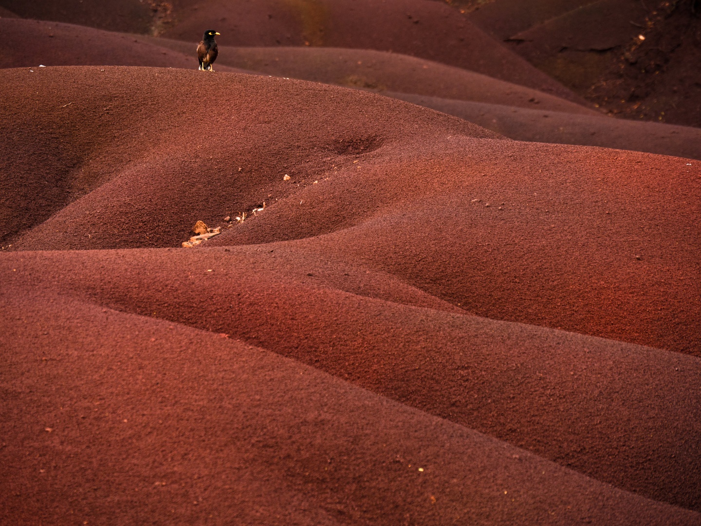 on top of things by Filip Mehmedovic