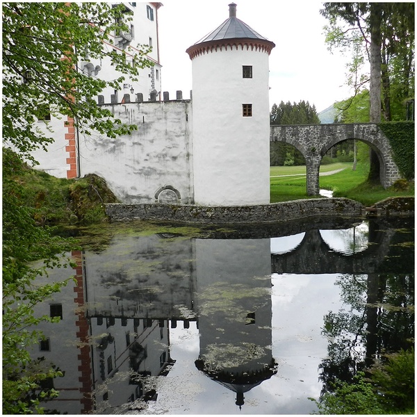 Grad Snežnik by Barbara Slavec