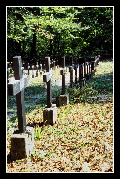 secret cemetary by darkdragon