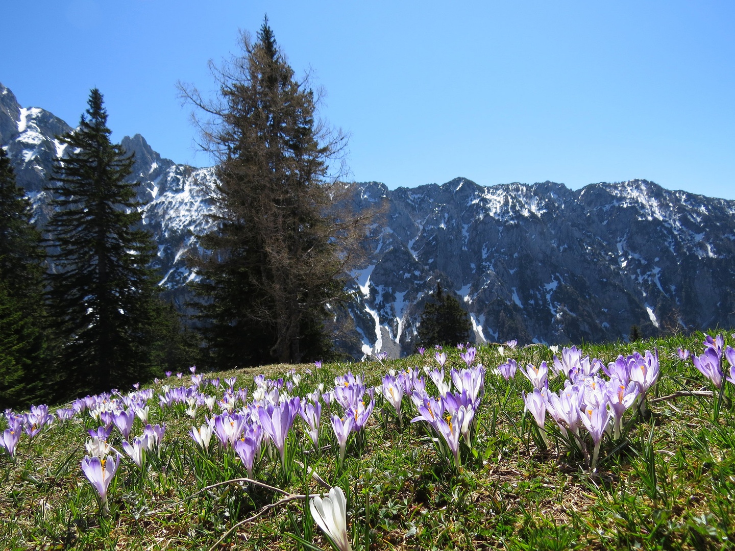 PLANINA KOROŠICA 1 by CEVAMUS SUMAVEC