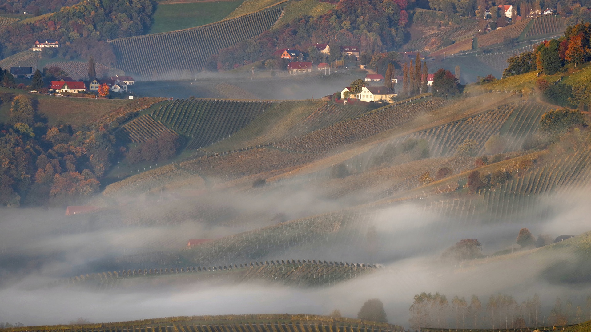 SLOVENSKE GORICE IN MEGLICE by CEVAMUS SUMAVEC