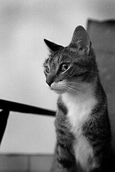 Pozer by Matjaž