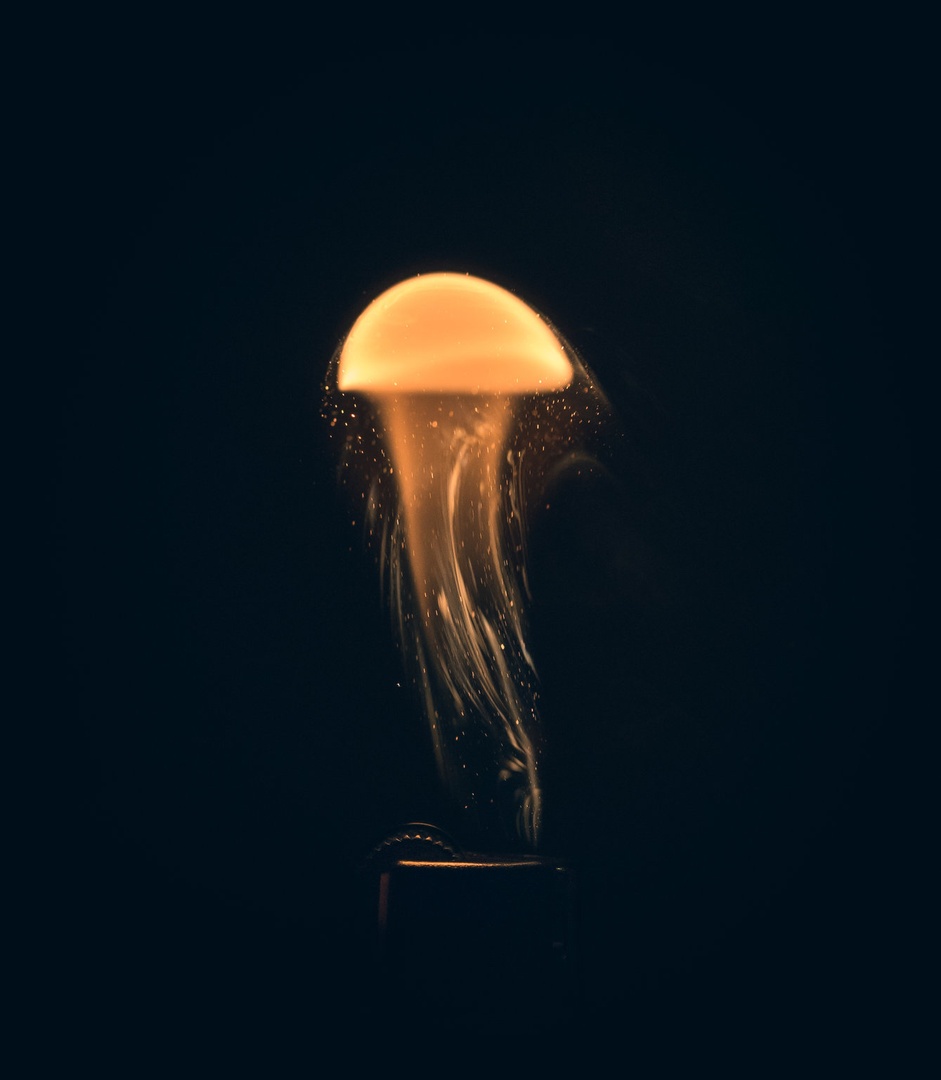 Plamen - meduza by Simon But