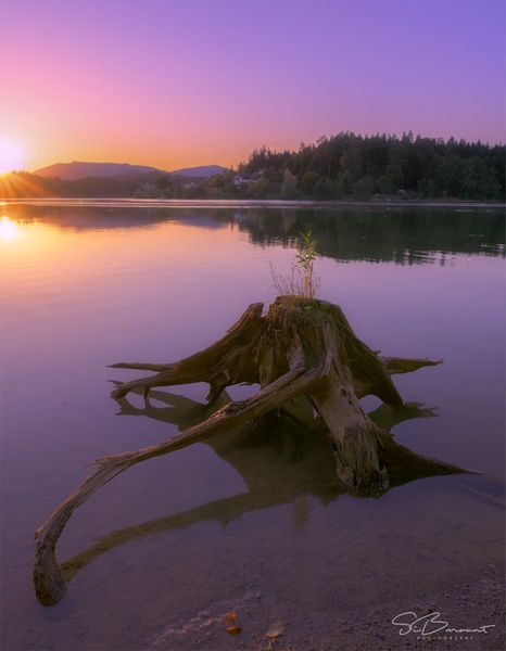 Šmartinsko jezero - sončni zahod by Simon But