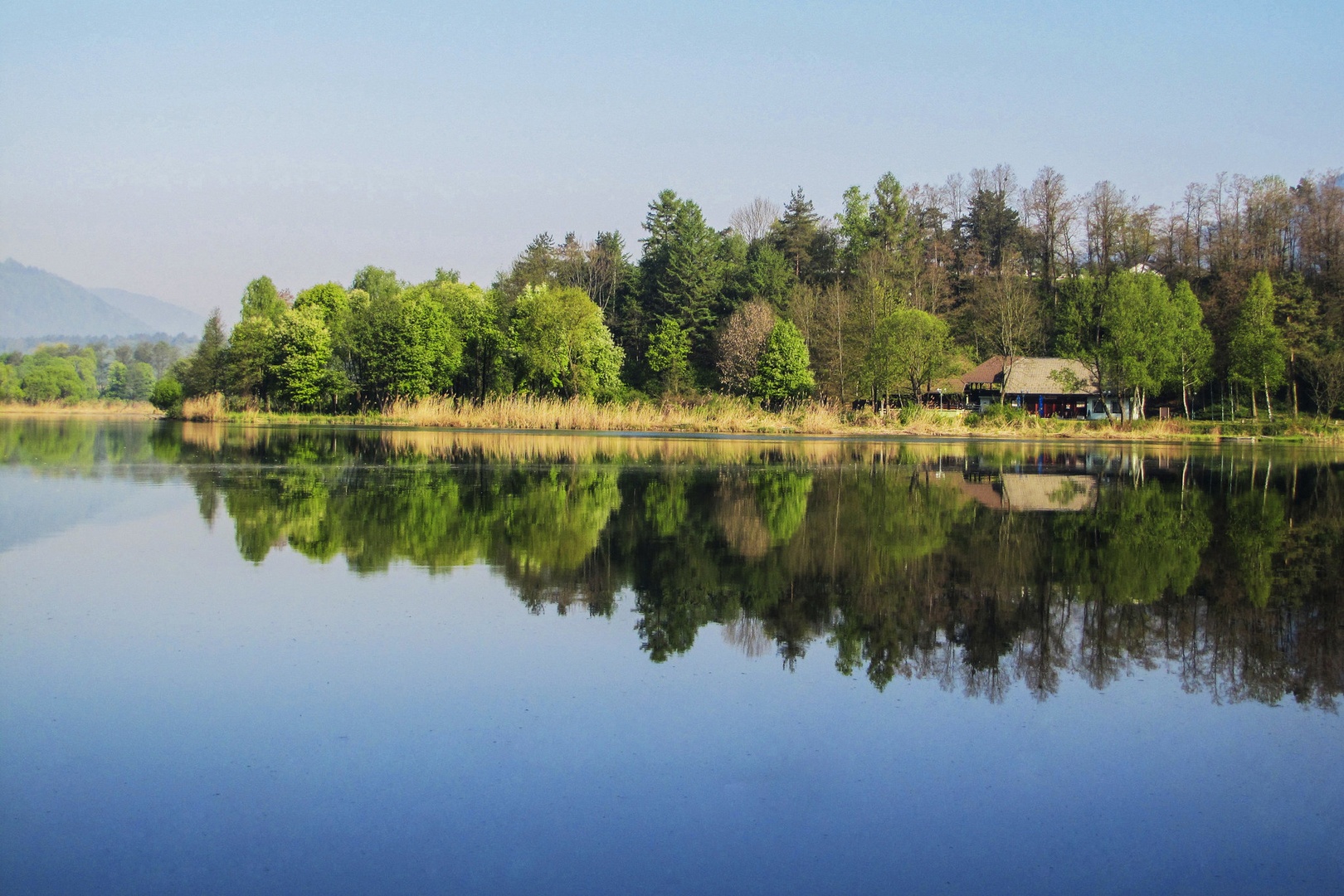 reflections by