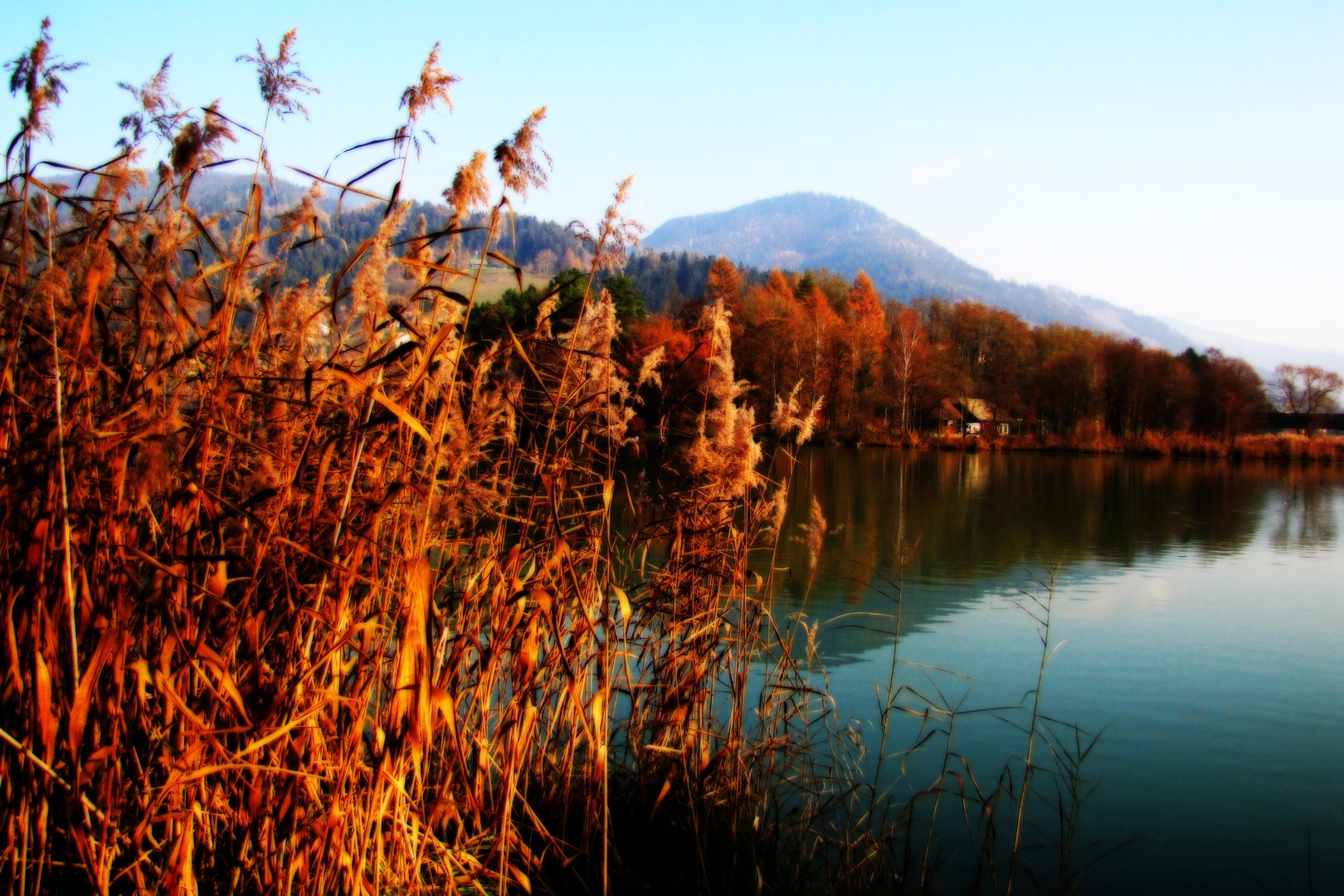 priokus jeseni by