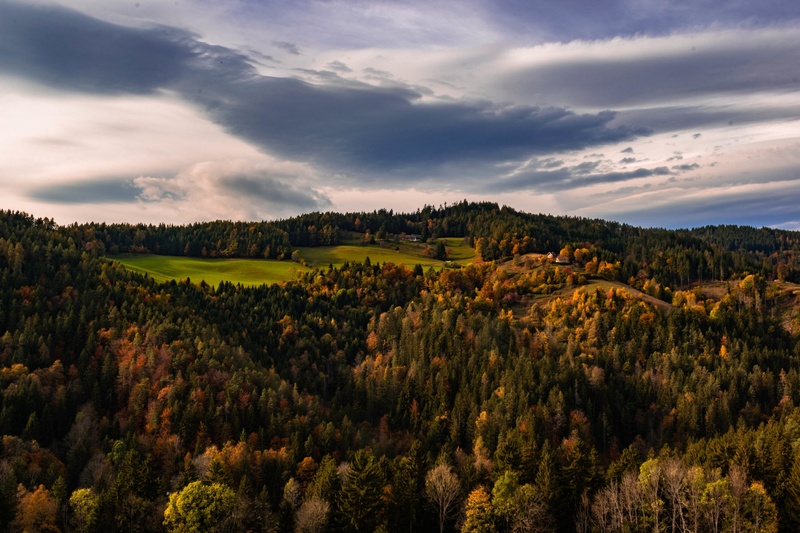 autumn magic by JPraper