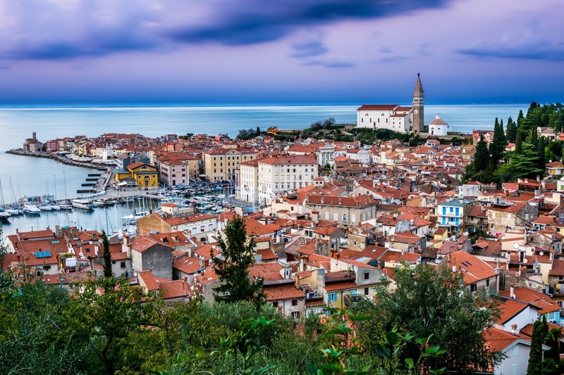 Piran oljcna pot by Jerry mura