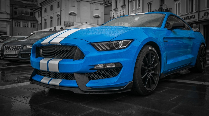 shelby by Denis Čotar