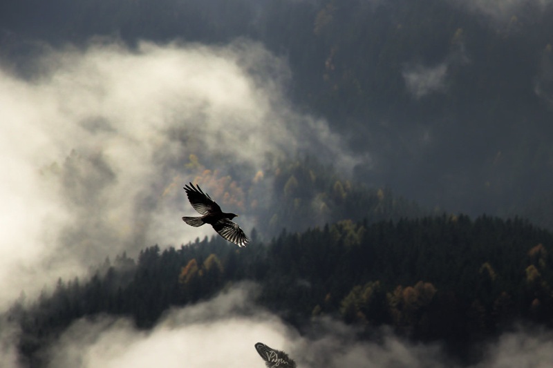 Be free :) by Valerija Padjen