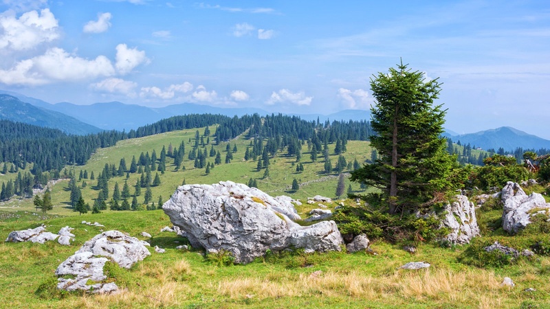 Na planini je .... by Jože Ričko