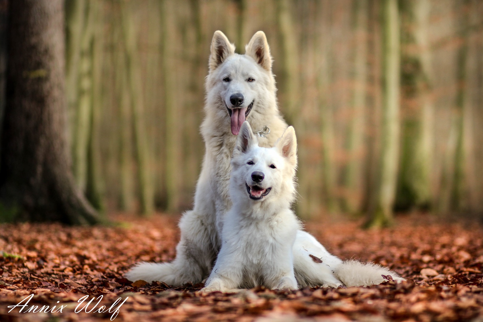 Bjorn&Sky #2 by Annix Wolf