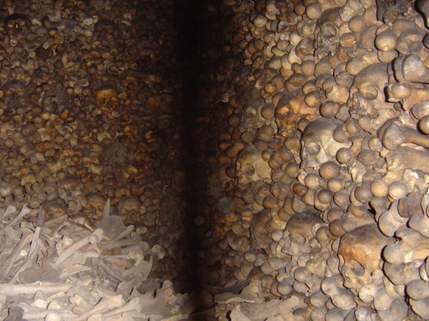 Skladovnica kosti by
