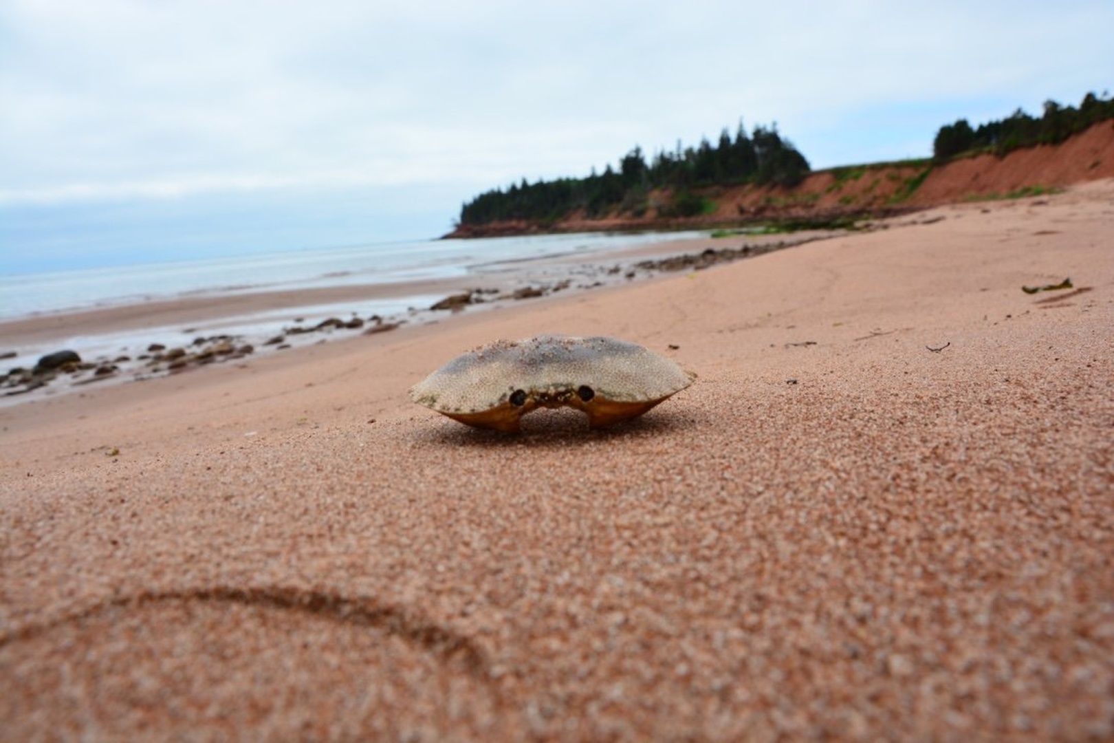 Canada-Prince Edward Island by Miran Jurgele