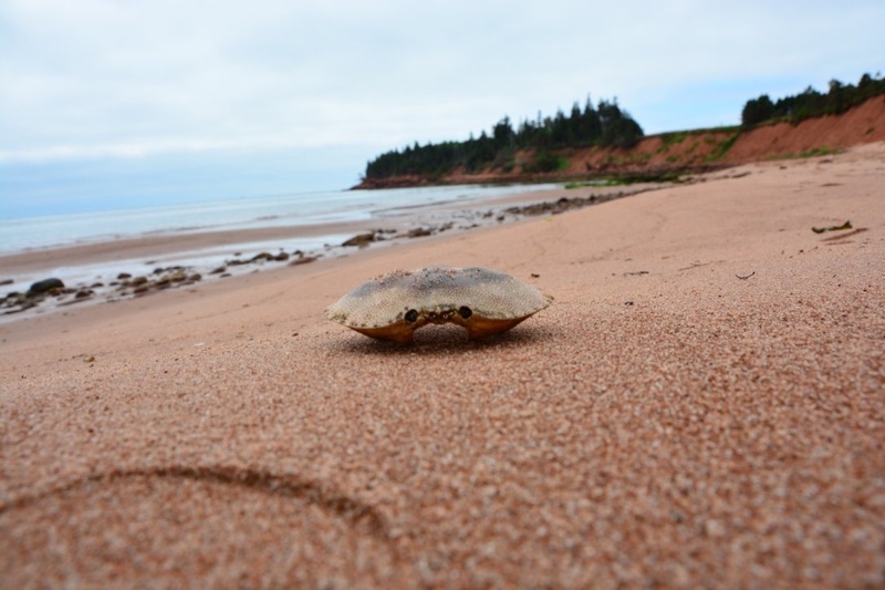 Canada-Prince Edward Island by Miran Jurgele