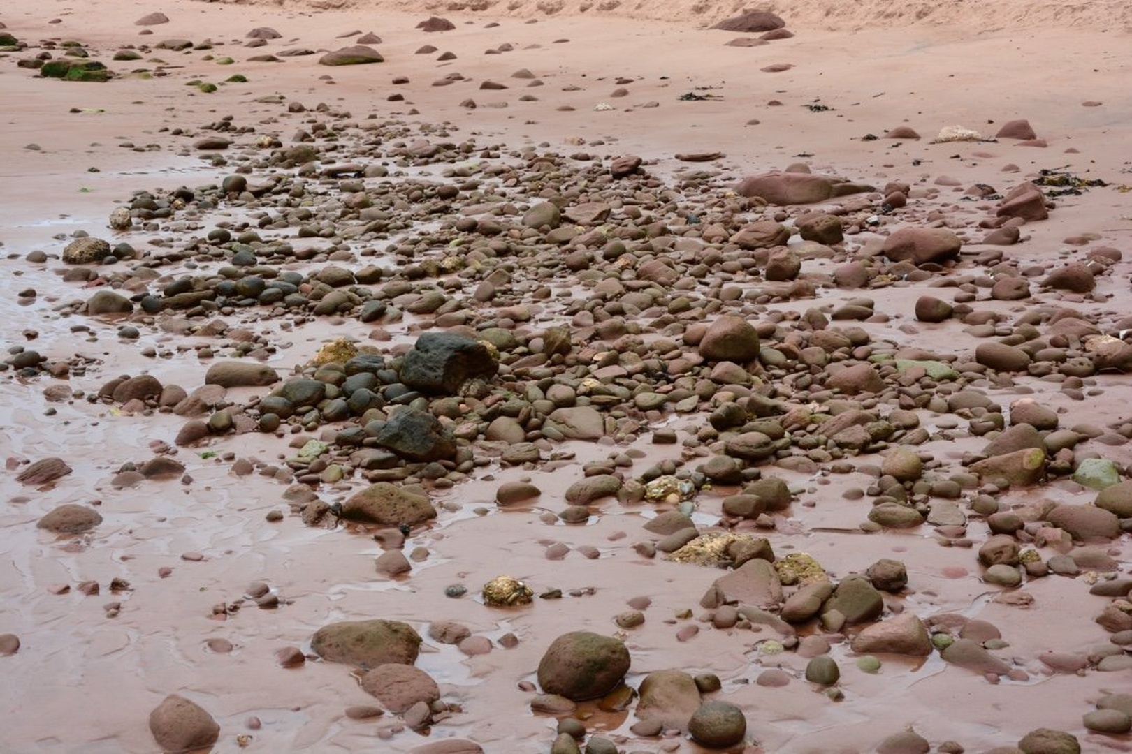 Canada-Prince Edward Island by Miran Jurgele