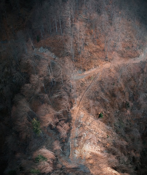 "First light on the 5th day. At dawn, look by Matej Mlakar