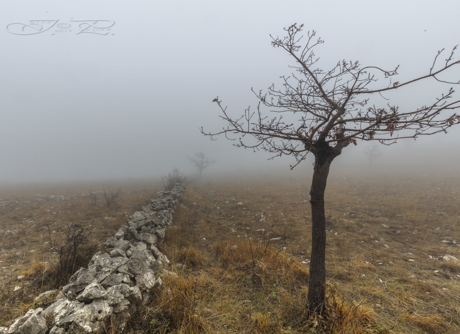 Podgorski Kras by Iztok