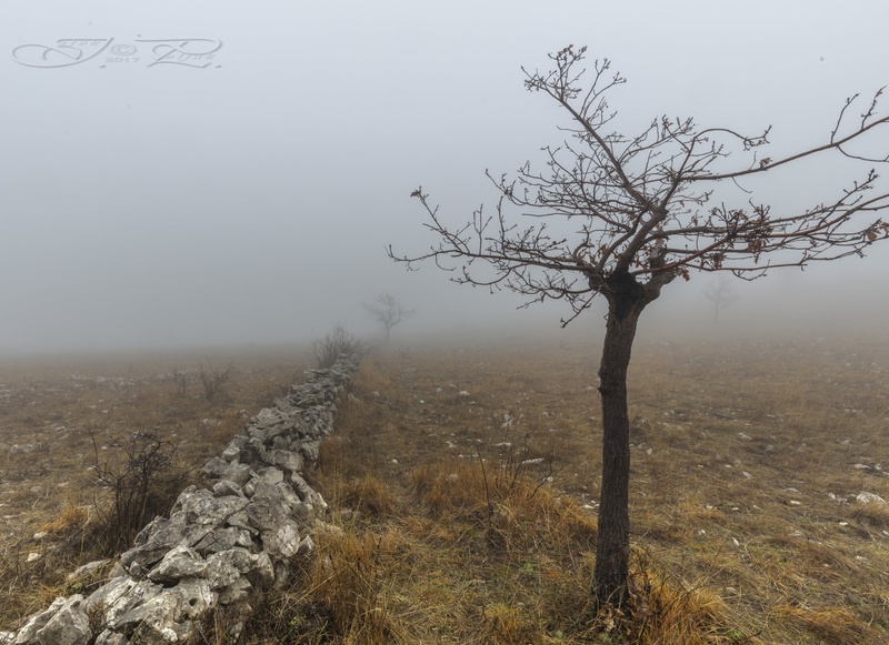 Podgorski Kras by Iztok
