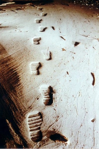 optična varka by matevz