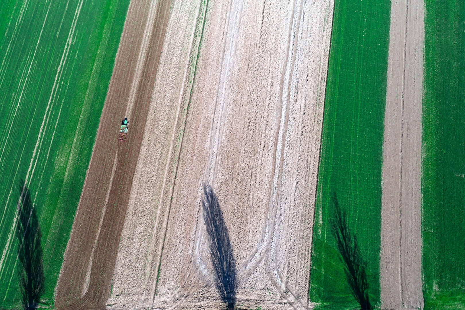 3 mušketirji in orač by Aviator X