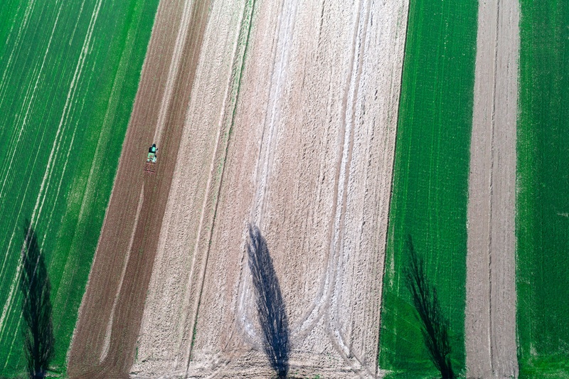 3 mušketirji in orač by Aviator X