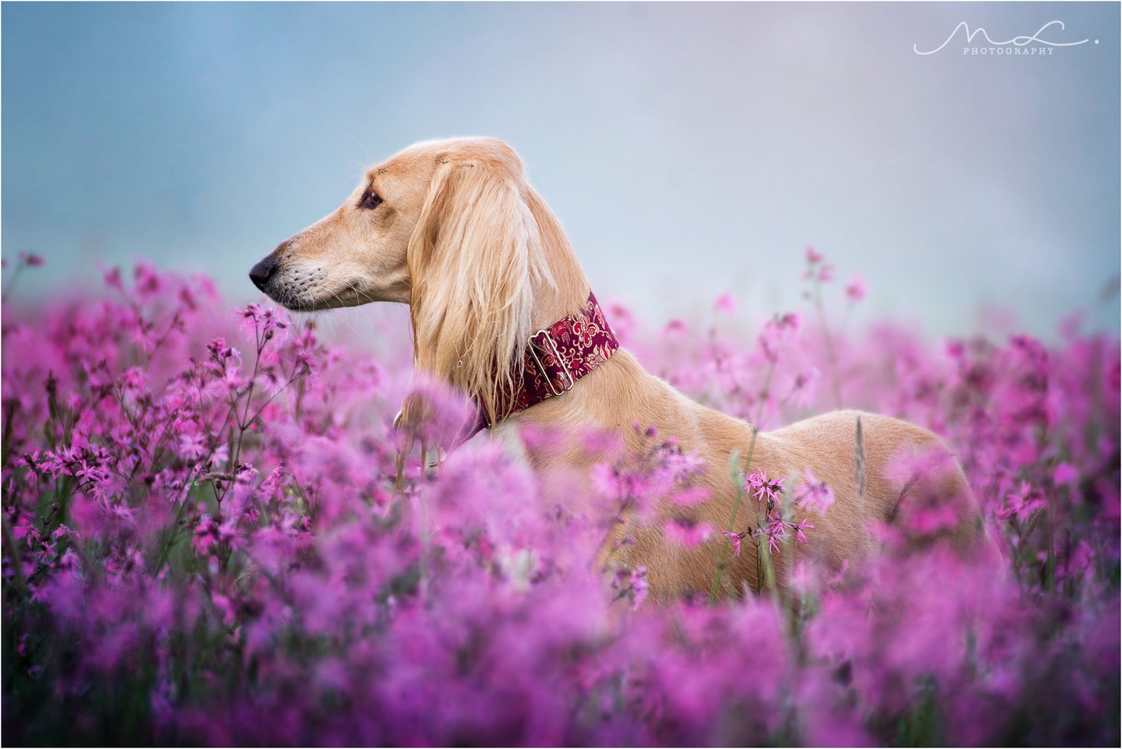 Flower Power by Maja Lesar