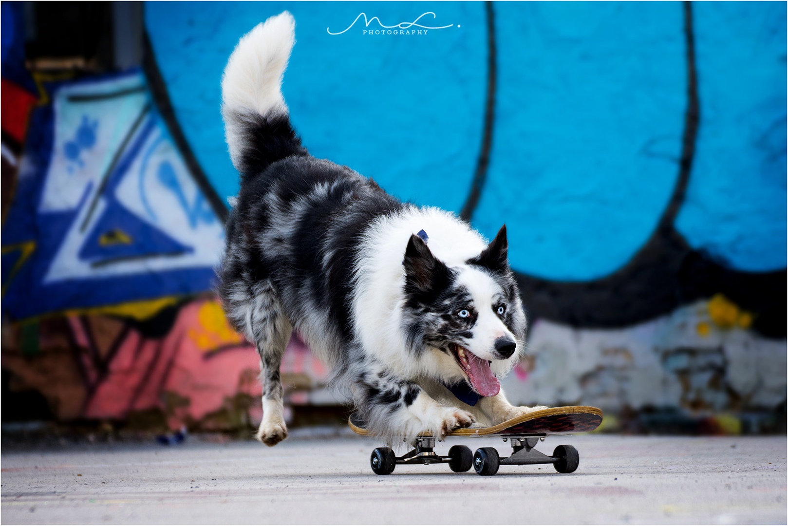 "Sk8er Boy" by Maja Lesar