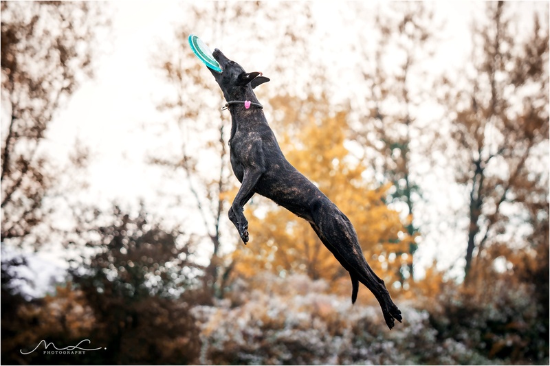 "The Pose" by Maja Lesar