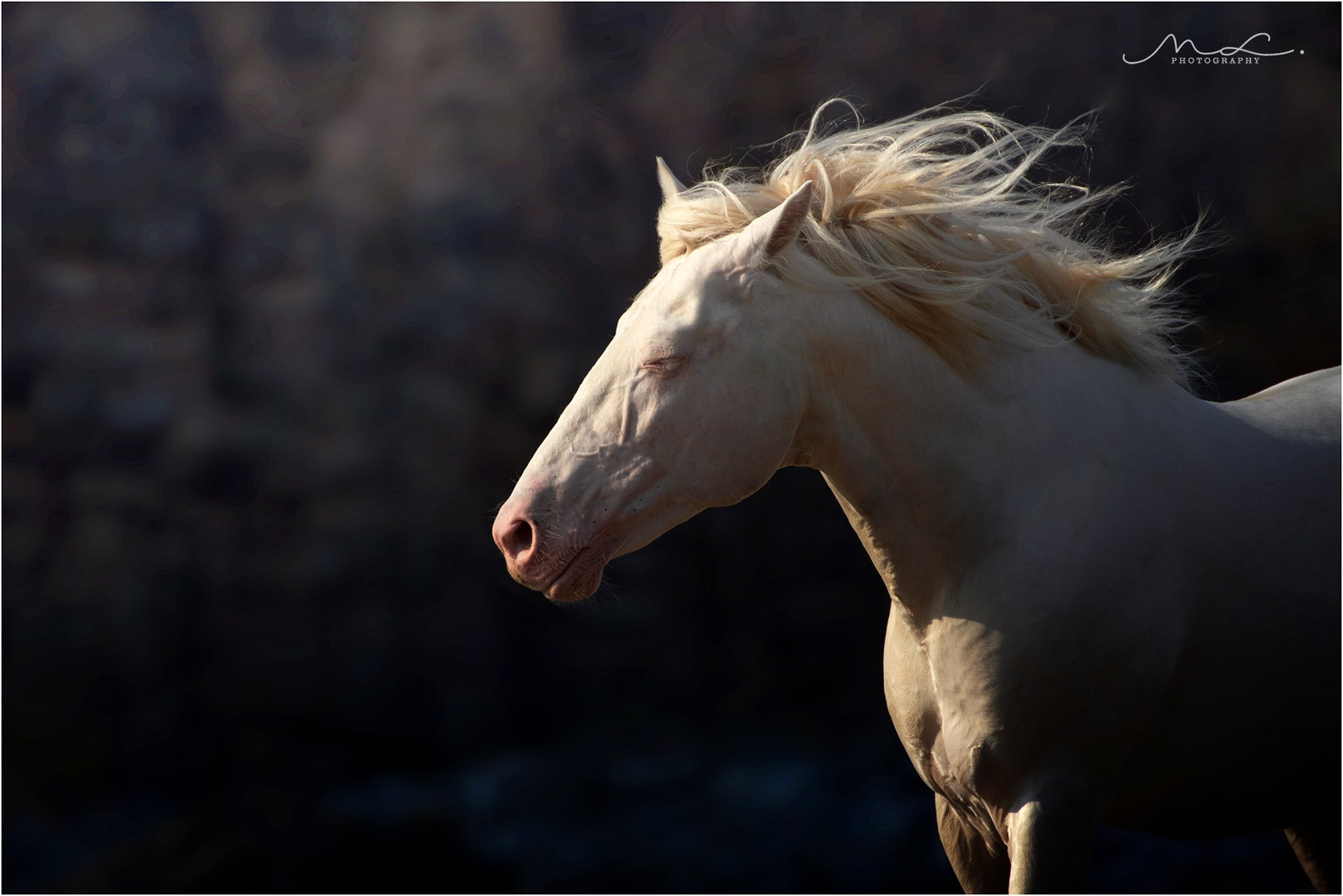 "Listening Wind" by Maja Lesar