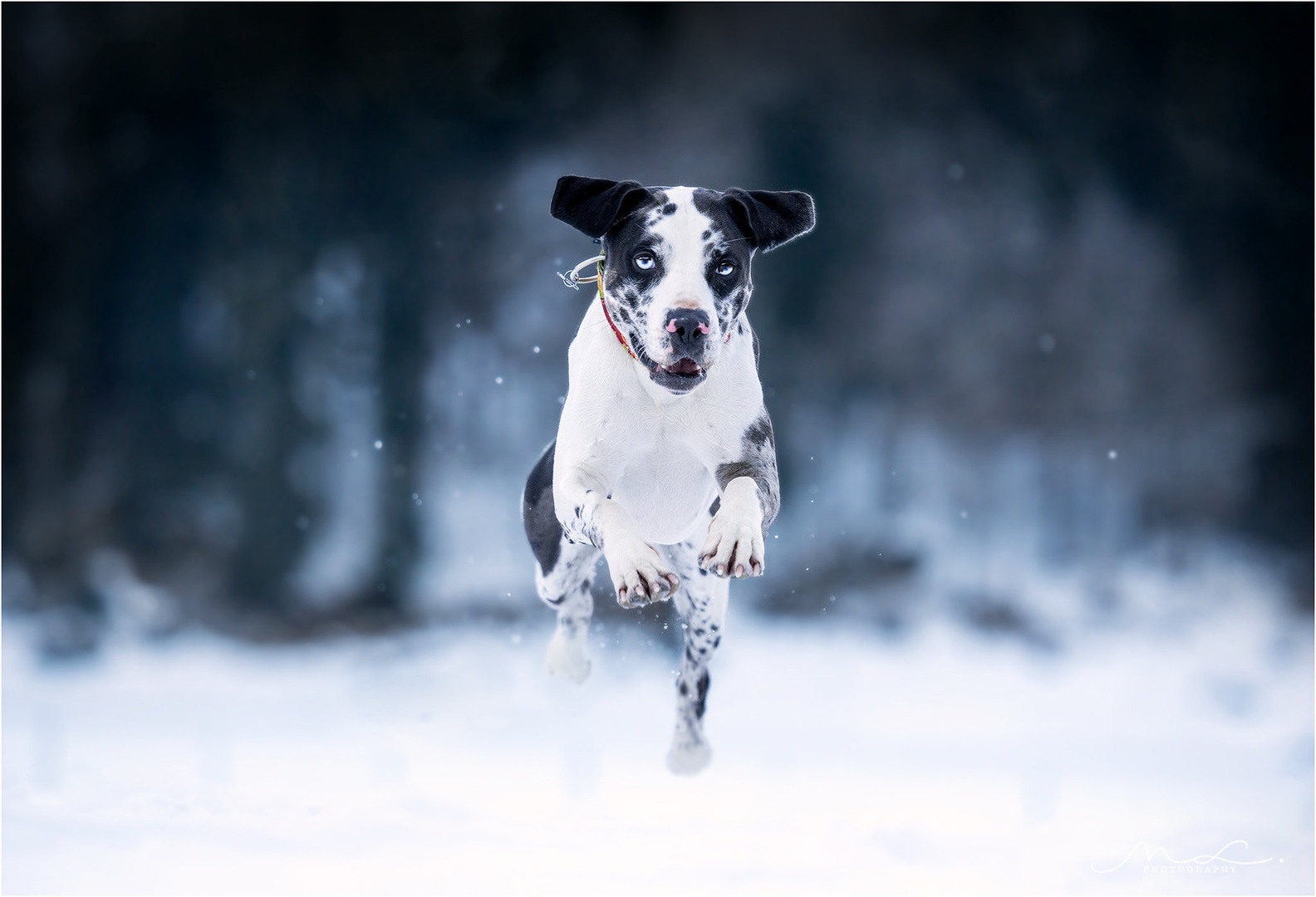 "Patch" by Maja Lesar