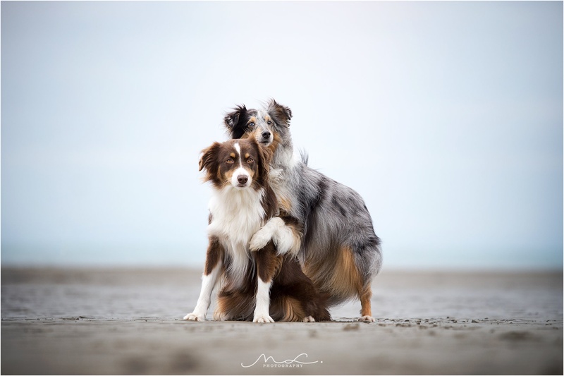 "Got your back" by Maja Lesar